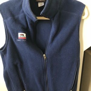 Patagonia Lake Tahoe Fleece Vest